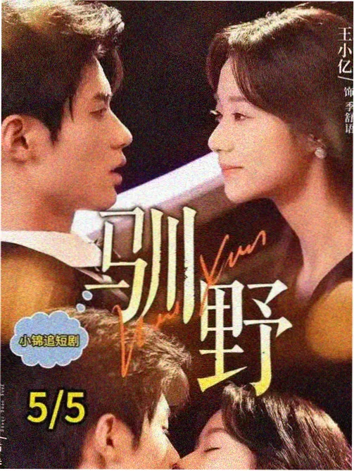 成全影院 热播剧 暗夜追凶
